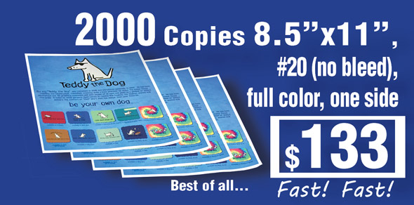 2,000 copies of any type of document. Printed on high brightness 20# bond paper, no folding, no bleed. These are great promotional pieces for events and trade shows.